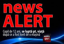 stire-de-ultima-ora:-copil-de-12-ani,-in-stop-cardio-respirator-dupa-ce-a-fost-lovit-de-o-masina,-in-muresenii-bargaului!