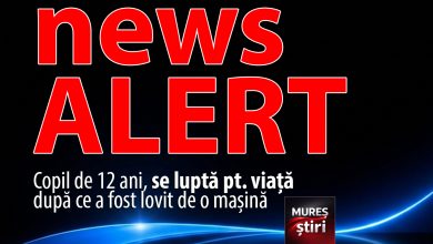 stire-de-ultima-ora:-copil-de-12-ani,-in-stop-cardio-respirator-dupa-ce-a-fost-lovit-de-o-masina,-in-muresenii-bargaului!