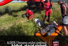 alerta:-teroarea-ursilor-continua.-un-barbat-a-fost-atacat-violent-in-brasov!-si-judetul-mures-este-sub-asediu!