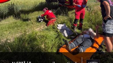 alerta:-teroarea-ursilor-continua.-un-barbat-a-fost-atacat-violent-in-brasov!-si-judetul-mures-este-sub-asediu!