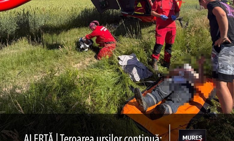 alerta:-teroarea-ursilor-continua.-un-barbat-a-fost-atacat-violent-in-brasov!-si-judetul-mures-este-sub-asediu!