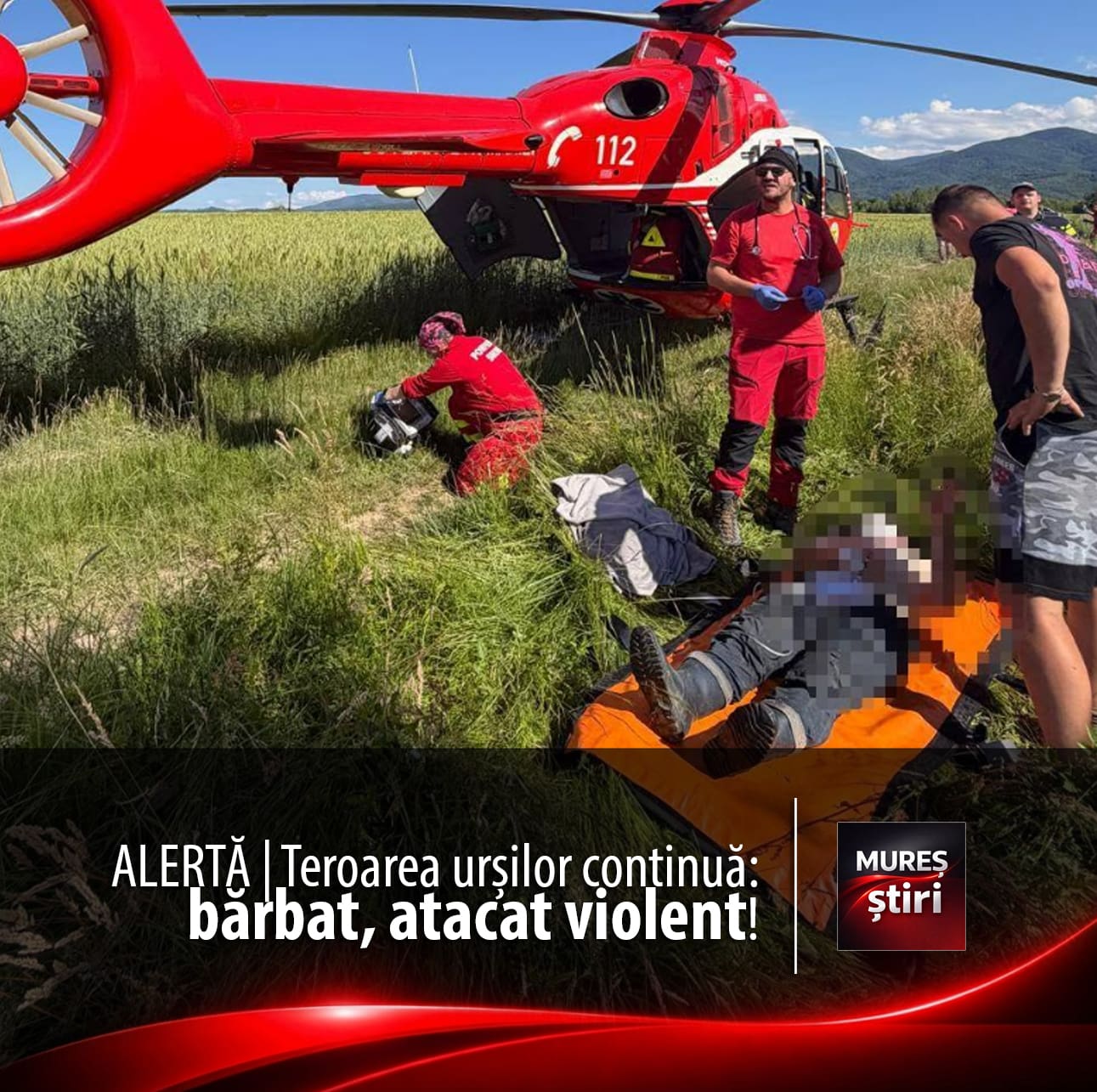 alerta:-teroarea-ursilor-continua.-un-barbat-a-fost-atacat-violent-in-brasov!-si-judetul-mures-este-sub-asediu!
