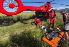 un-barbat-in-varsta-de-53-de-ani-a-fost-atacat-de-un-urs-pe-dj104a,-intre-localitatile-brasovene-margineni-si-bucium