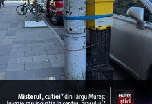 invazie-sau-inovatie-in-centrul-orasului?-misterul-„cutiei-cu-albine”-din-targu-mures-a-incins-spiritele-pe-retelele-sociale!