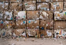 gunoiul-din-zona-raciu,-scos-la-licitatie:-contract-de-aproape-25-de-milioane-de-lei-pe-opt-ani