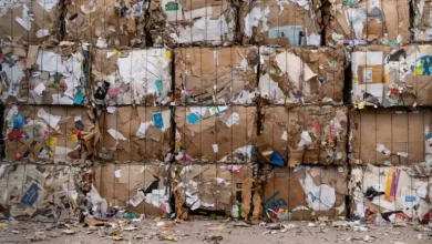 gunoiul-din-zona-raciu,-scos-la-licitatie:-contract-de-aproape-25-de-milioane-de-lei-pe-opt-ani