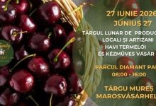 targul-local-lunar-„my-family-market”-din-targu-mures,-revine-in-27-iunie-2026
