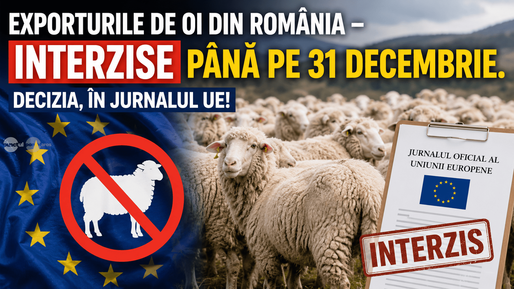 dupa-niste-oi-bolnave-prin-mures,-exporturile-de-ovine-si-caprine-din-romania,-interzise-pana-la-31-decembrie-2026