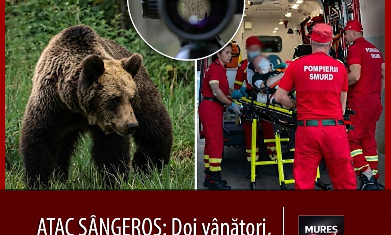 atac-sangeros:-un-vanator-si-un-paznic-de-vanatoare,-desfigurati-de-un-urs-ranit-in-timpul-unei-misiuni-de-urgenta!