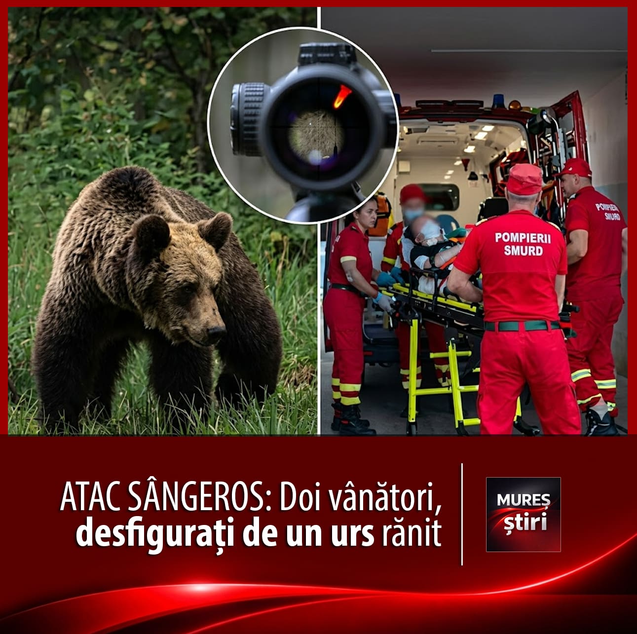 atac-sangeros:-un-vanator-si-un-paznic-de-vanatoare,-desfigurati-de-un-urs-ranit-in-timpul-unei-misiuni-de-urgenta!