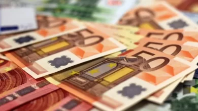 guvernul-da-bani-grei-firmelor-care-produc-ce-romania-importa-cel-mai-mult.-cine-poate-accesa-banii?