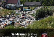 alerta-la-reghin:-orasul,-sufocat-de-vandalism-si-gunoaie.-primarul-recunoaste-neputinta-autoritatilor-in-fata-contravenientilor!