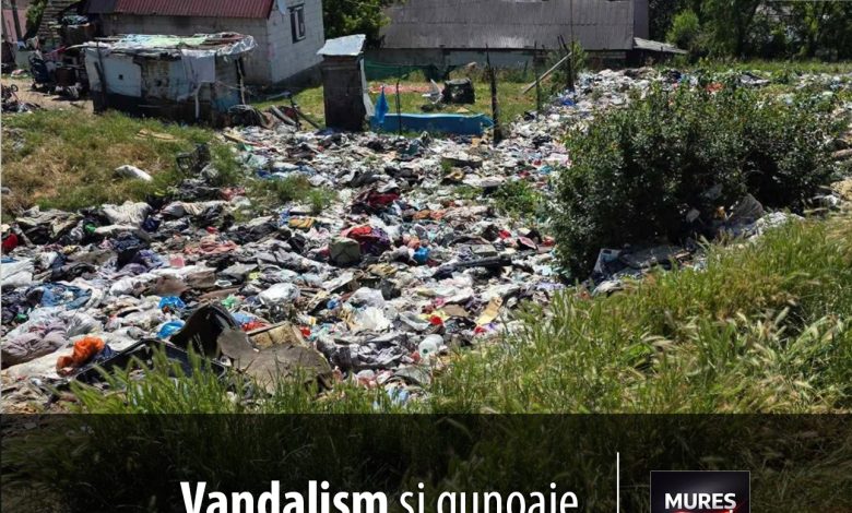 alerta-la-reghin:-orasul,-sufocat-de-vandalism-si-gunoaie.-primarul-recunoaste-neputinta-autoritatilor-in-fata-contravenientilor!