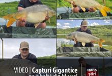 foto-video-|-capturi-impresionante-la-balta-gabud:-destinatia-perfecta-pentru-pescarii-ambitiosi!