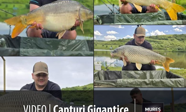 foto-video-|-capturi-impresionante-la-balta-gabud:-destinatia-perfecta-pentru-pescarii-ambitiosi!