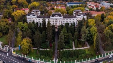 53-de-programe-de-studii-de-licenta,-la-umfst-”george-emil-palade”-targu-mures