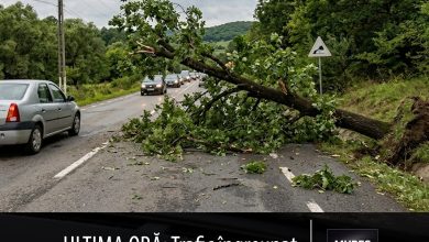 ultima-ora:-trafic-ingreunat-pe-dj142,-drumul-spre-tigmandru!