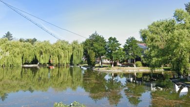 cabanele-de-la-weekend-intra-in-legalitate.-10,8-euro-pe-metru-patrat-pe-an-pentru-o-cabana