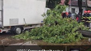 video-|-interventie-de-urgenta-in-targu-mures:-copac-prabusit-peste-o-autoutilitara!-oamenii-s-au-revoltat!