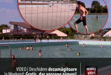 video-|-deschidere-dezamagitoare-la-complexul-weekend:-public-putin-in-ciuda-gratuitatii!