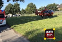 tragedie-in-germania:-o-femeie-din-judetul-mures-a-fost-ucisa-la-o-ferma-de-sparanghel!-sotul-ei-este-in-stare-grava!