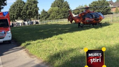 tragedie-in-germania:-o-femeie-din-judetul-mures-a-fost-ucisa-la-o-ferma-de-sparanghel!-sotul-ei-este-in-stare-grava!