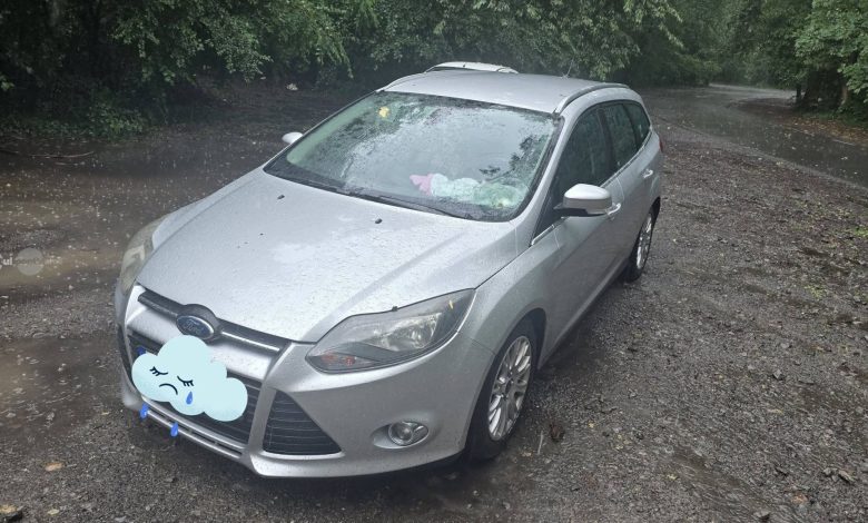 crengile-cazute-au-provocat-avarii-unui-autoturism-la-platoul-cornesti-din-targu-mures