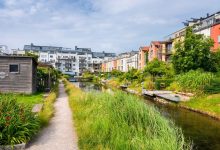 ce-inseamna-modelul-ecoquartier-pentru-care-s-a-calificat-targu-mures-si-cum-functioneaza-in-alte-tari