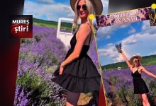 reteta-pentru-o-zi-perfecta-in-mures:-lavanda,-grau-auriu-si-relaxare-sub-cerul-liber!-video