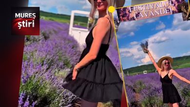 reteta-pentru-o-zi-perfecta-in-mures:-lavanda,-grau-auriu-si-relaxare-sub-cerul-liber!-video
