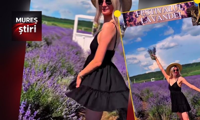 reteta-pentru-o-zi-perfecta-in-mures:-lavanda,-grau-auriu-si-relaxare-sub-cerul-liber!-video