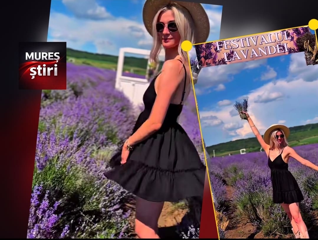reteta-pentru-o-zi-perfecta-in-mures:-lavanda,-grau-auriu-si-relaxare-sub-cerul-liber!-video