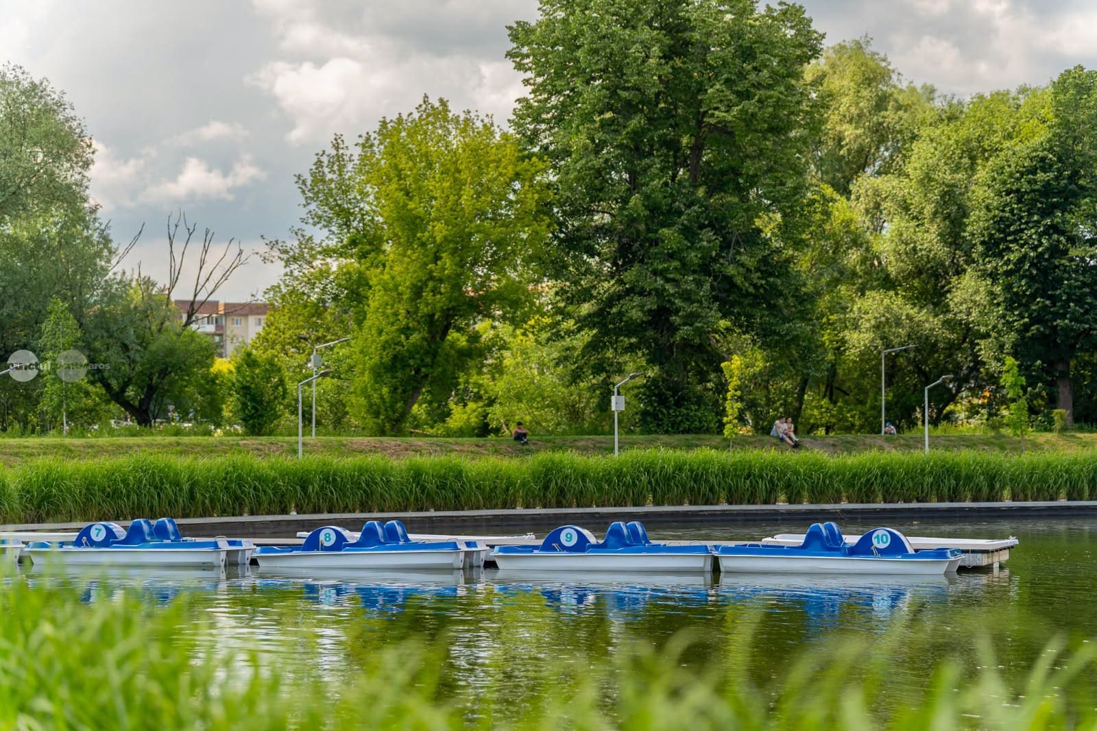 barcile-si-hidrobicicletele-de-pe-lacul-din-zona-garii-sfantu-gheorghe,-date-in-folosinta-in-weekend