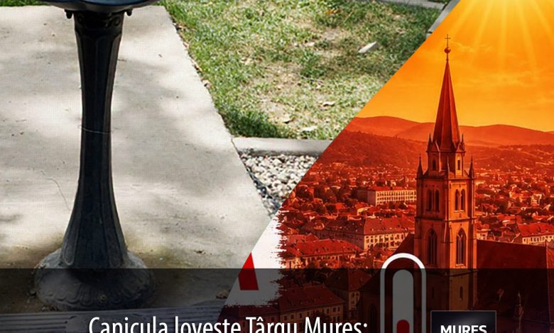 canicula-loveste-targu-mures:-aquaserv-pune-la-dispozitie-10-puncte-de-hidratare-publica!