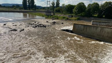 apele-romane-mures-avertizeaza:-scaldatul-este-strict-interzis-la-barajul-de-priza-nr.-1-din-targu-mures