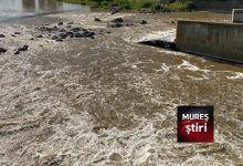 atentie-|-raurile-nu-sunt-stranduri!-pericol-de-moarte-la-barajul-de-priza-nr.-1-din-targu-mures