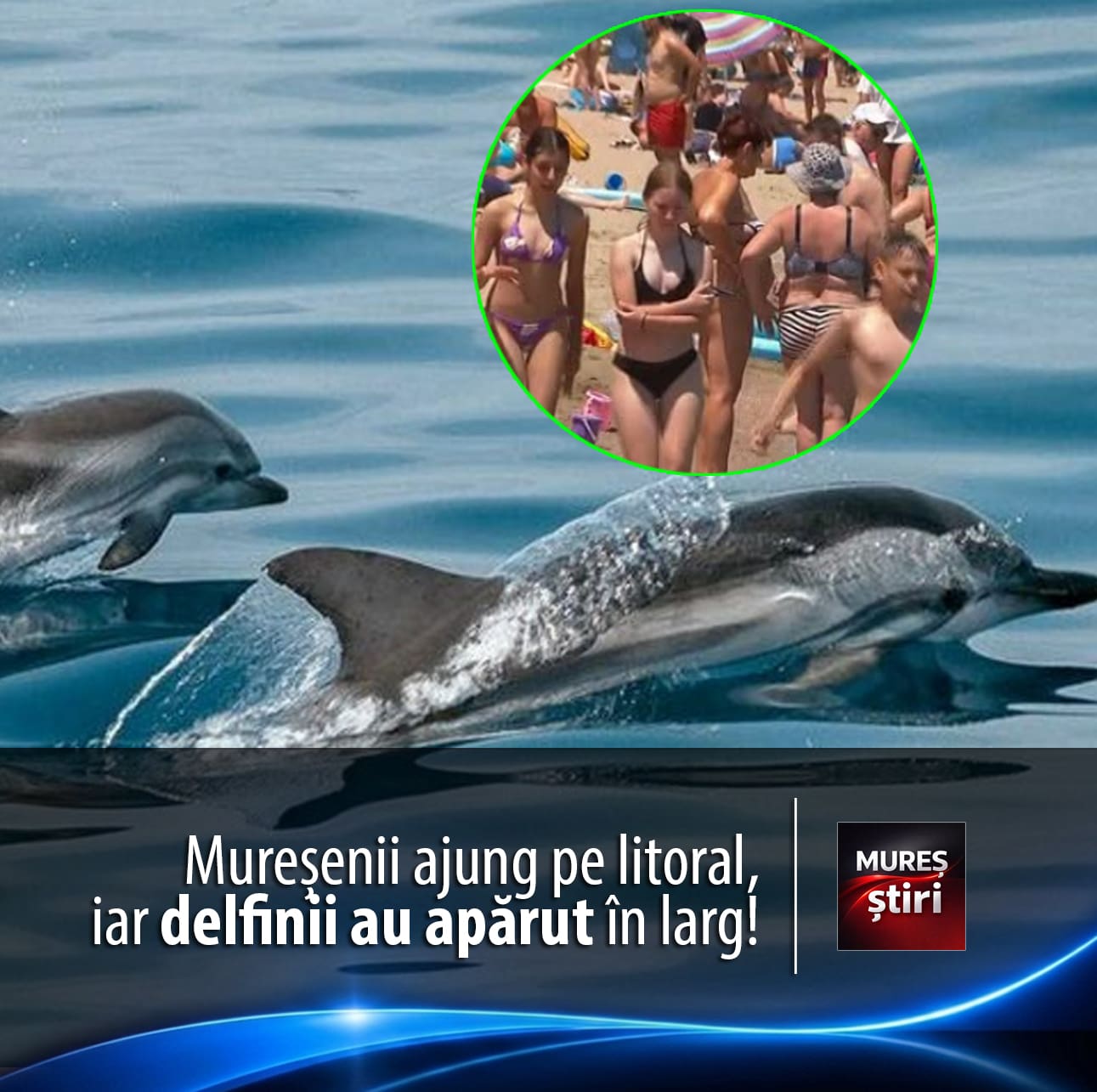 si-muresenii-ajung-pe-litoral:-plajele-s-au-umplut-de-copii,-iar-delfinii-au-aparut-in-larg!