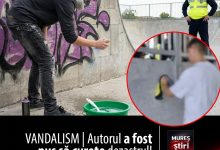 vandalism-|-autorul-a-fost-pus-sa-curete-dezastrul!-o-problema-care-sufoca-si-proprietarii-din-mures