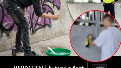 vandalism-|-autorul-a-fost-pus-sa-curete-dezastrul!-o-problema-care-sufoca-si-proprietarii-din-mures