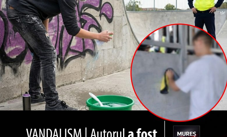 vandalism-|-autorul-a-fost-pus-sa-curete-dezastrul!-o-problema-care-sufoca-si-proprietarii-din-mures
