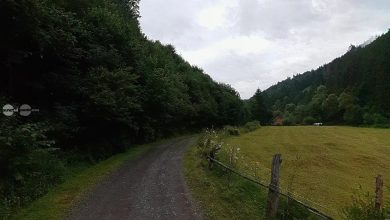 drumul-forestier-salard-–-hidegag,-in-pericol-sa-fie-blocat-de-poduri-degradate