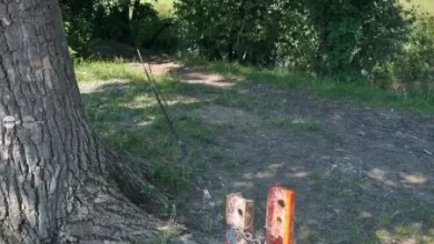 stalpii-si-cordonul-montati-in-zona-bacului-de-pe-mures-au-fost-indepartati-dupa-interventia-primariei-sangeorgiu-de-mures