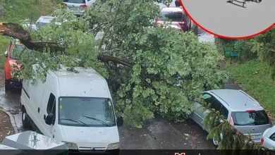 interventii-in-forta-ale-pompierilor-mureseni:-efectele-fenomenelor-meteorologice-extreme-pana-la-ora-16:00!