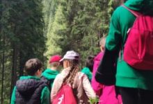 elevii-din-harghita-beneficiaza-de-cursuri-de-educatie-montana