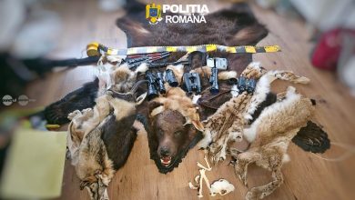 braconaj-si-nerespectarea-regimului-armelor-si-al-munitiilor-la-lunca-bradului