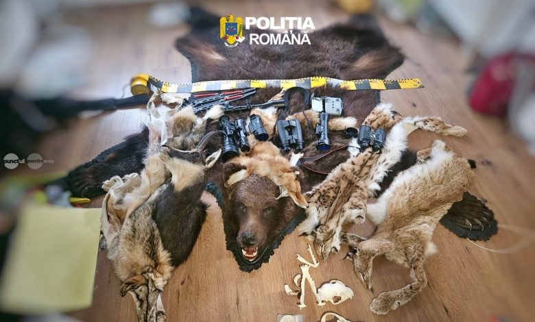 braconaj-si-nerespectarea-regimului-armelor-si-al-munitiilor-la-lunca-bradului