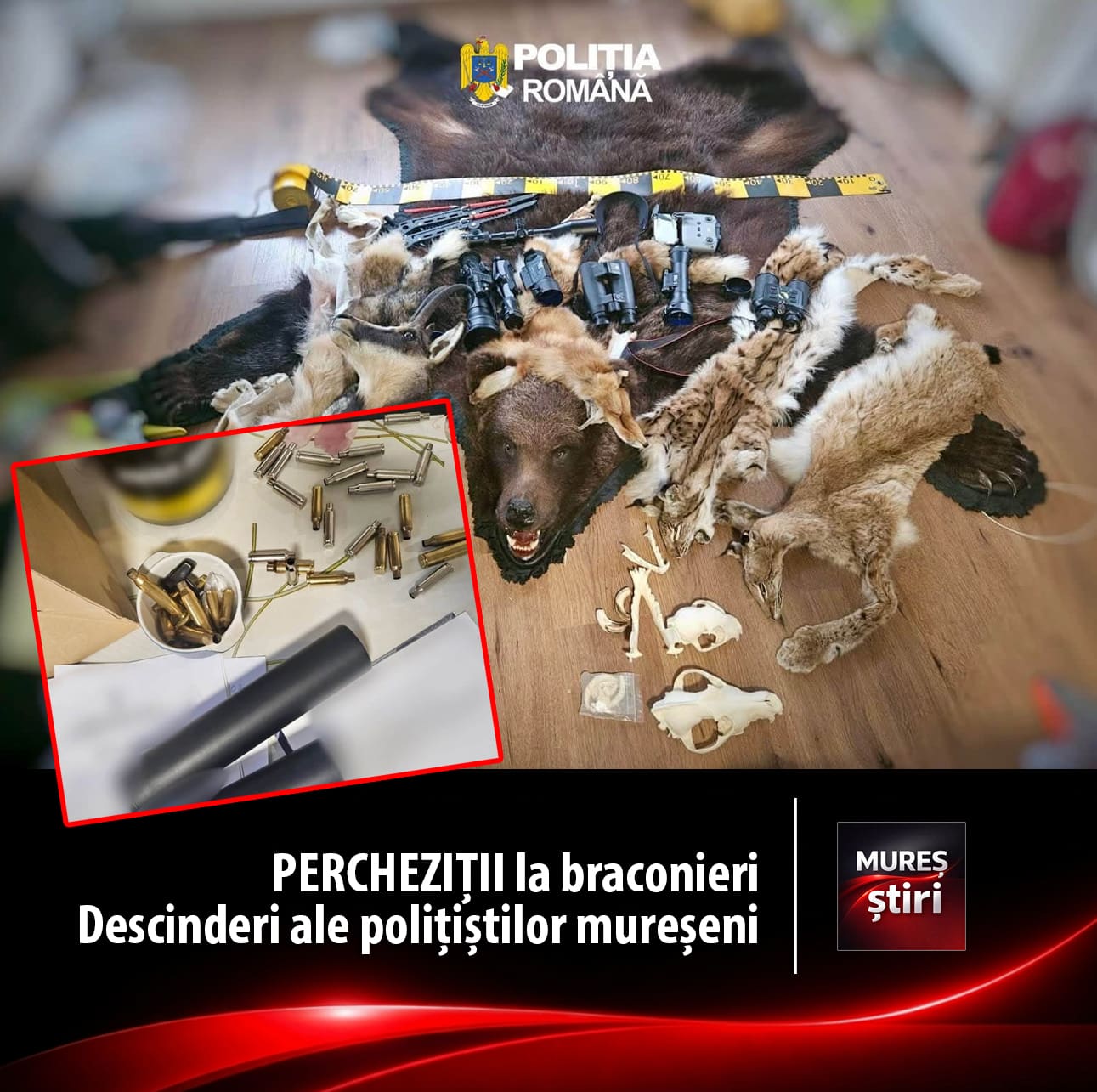 perchezitii-la-braconieri-|-descinderi-ale-politistilor-mureseni-intr-un-dosar-de-braconaj-si-nerespectare-a-regimului-armelor,-in-lunca-bradului!