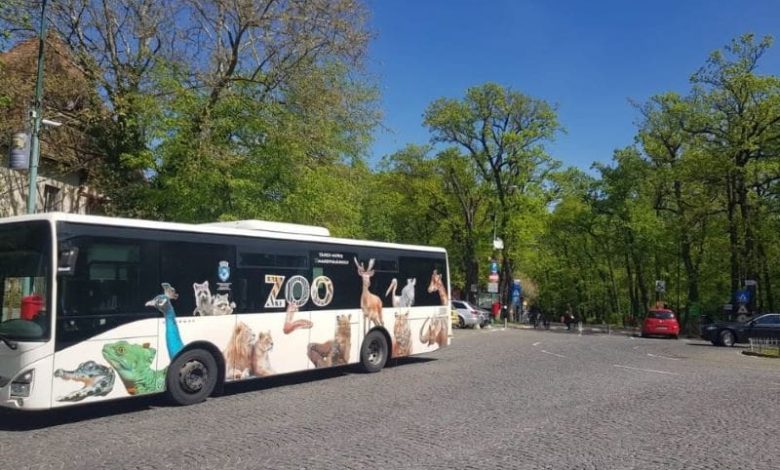 autobuze-speciale,-catre-platoul-cornesti-si-complexul-”weekend”-din-targu-mures