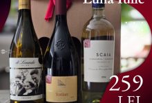 iulie-cere-vinuri-clare,-bine-asezate,-cu-prospetime-si-masura.-kabinett-exclusive-–-iulie-2026