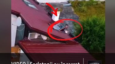 video-|-operatiune-de-amploare-a-politiei-romane:-suspecti-de-frauda-imobiliara-retinuti-dupa-ce-au-incercat-sa-„scape”-de-dovezi-pe-fereastra!